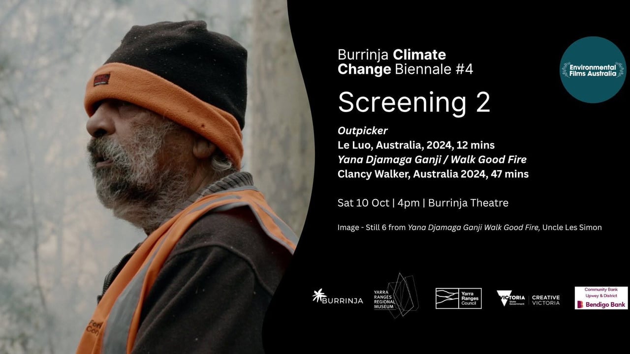 BCCB#4 Films - Screening 2