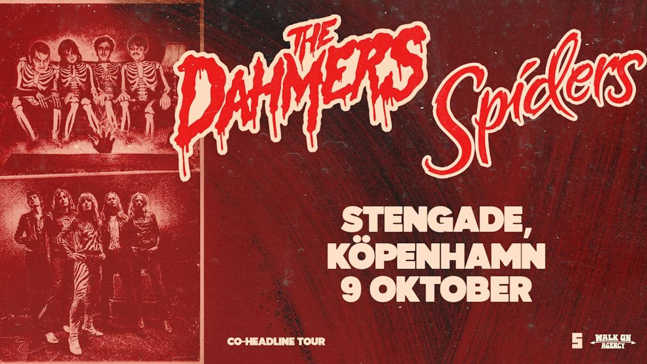 Spiders [SE] + The Dahmers [SE] + NATFEST: DJ Circle-Work