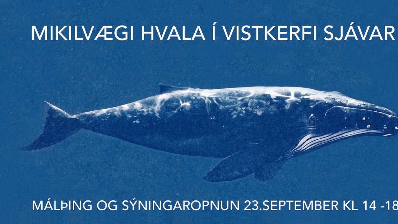 Mikilvægi hvala í vistkerfi sjávar- Málþing og Sýningaropnun