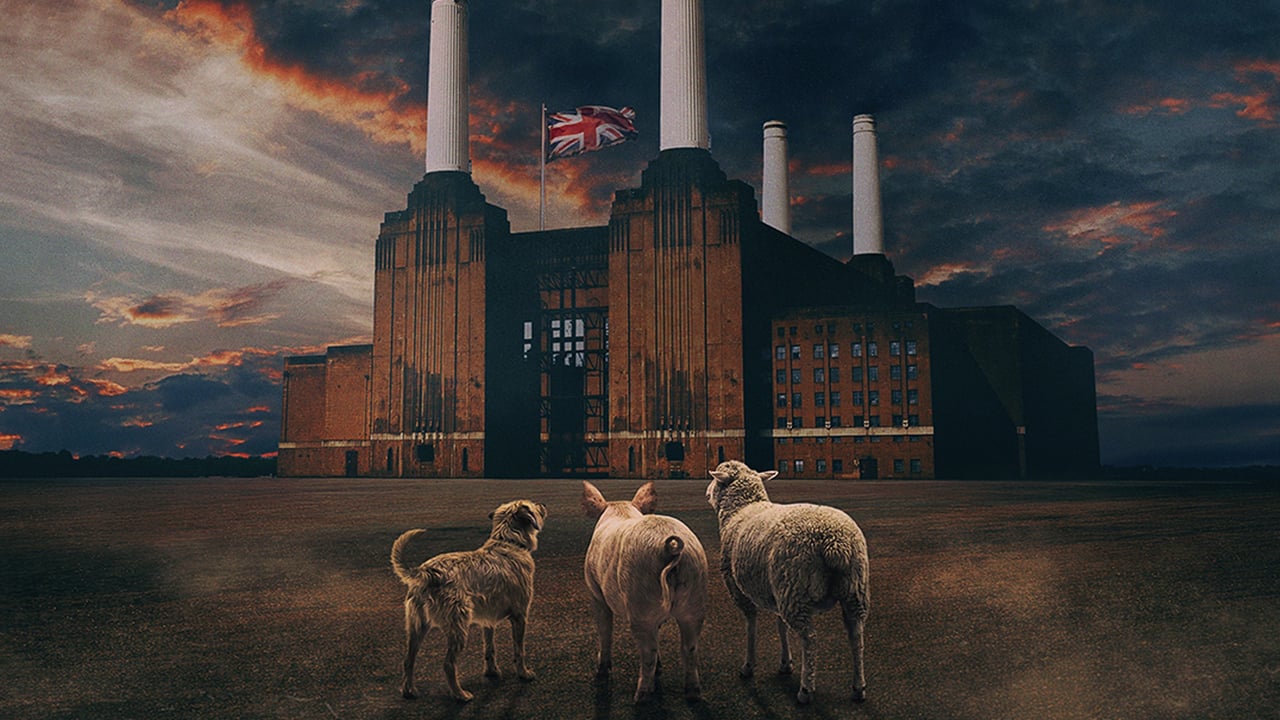 BRIT FLOYD - ANIMALS 50