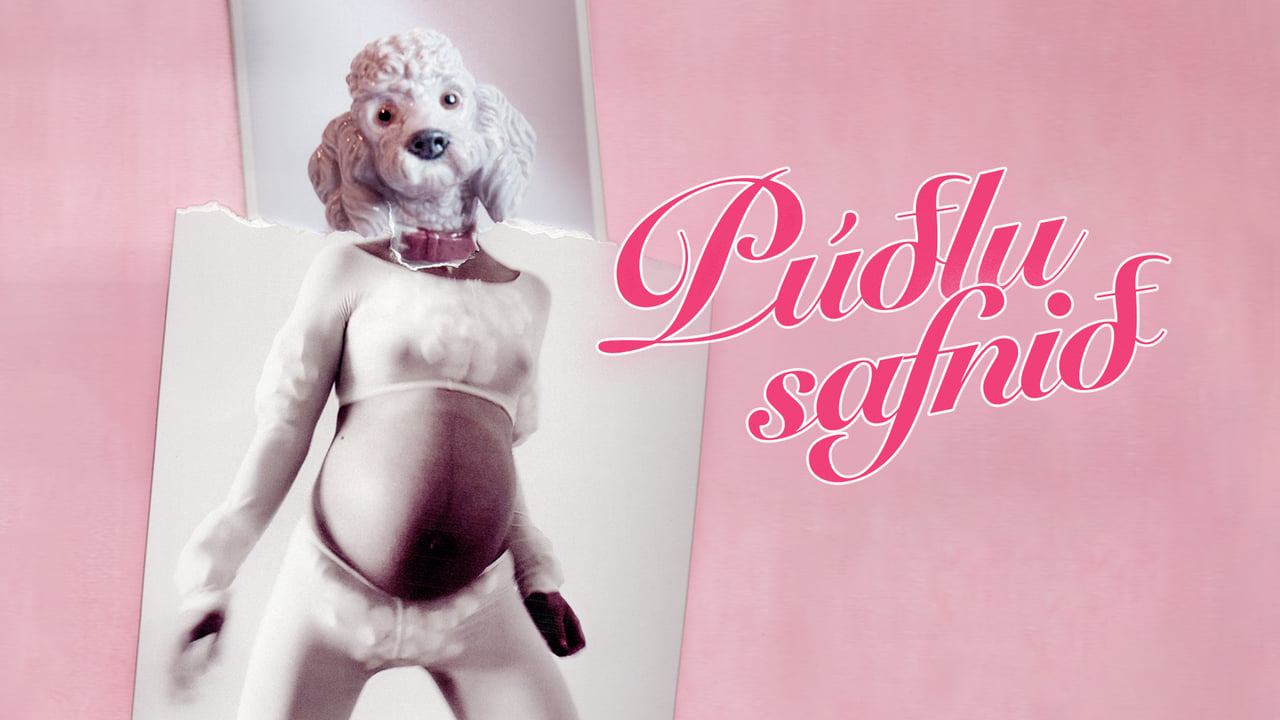 Púðlusafnið