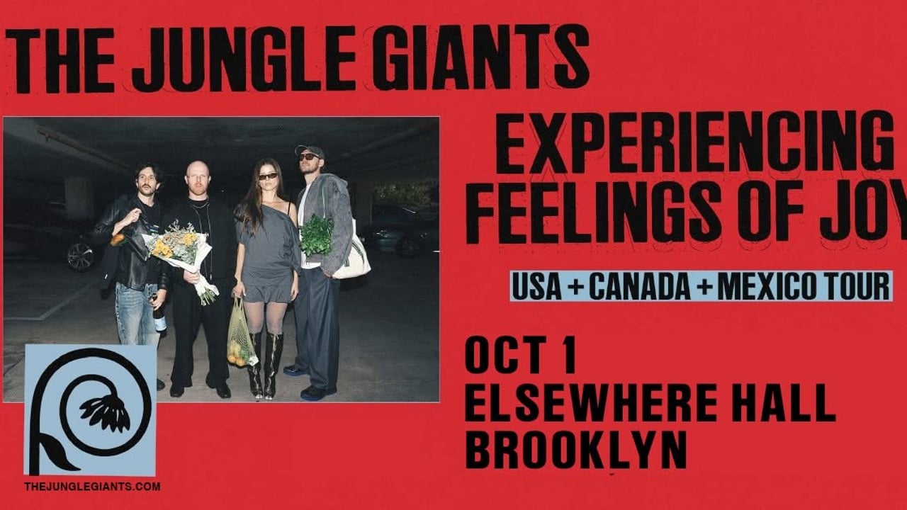 The Jungle Giants - Experiencing Feelings Of Joy Tour - Brooklyn