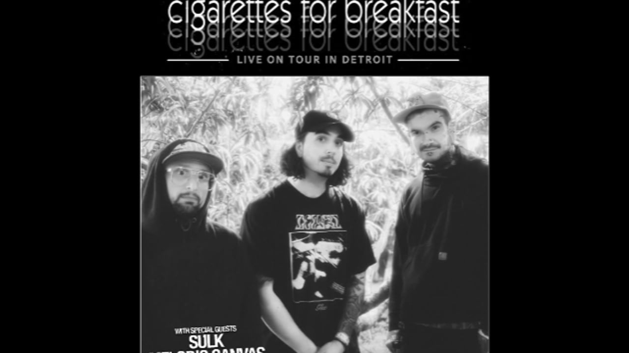 Cigarettes for Breakfast, Sulk, Melodic Canvas, Feign
