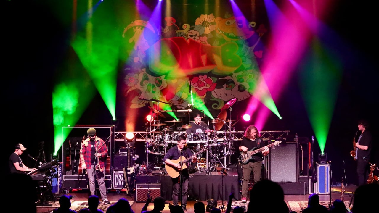 Dave Matthews Tribute Band