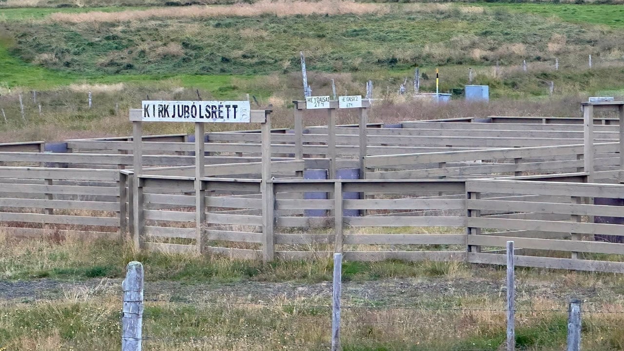 Réttarkaffi