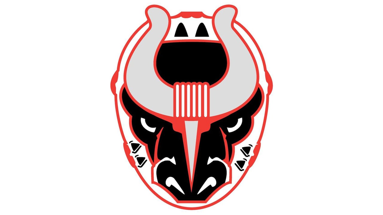 Birmingham Bulls v. Evansville Thunderbolts