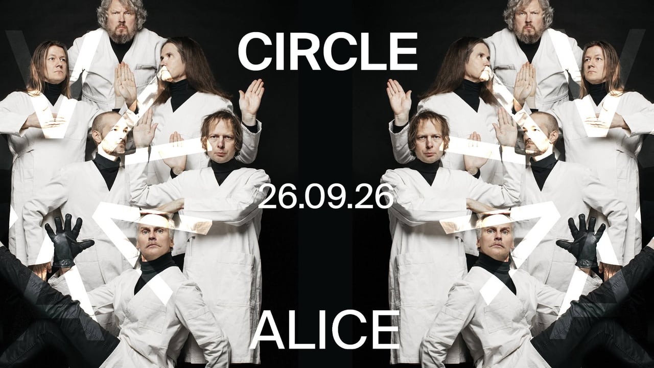 Circle (FI) at ALICE