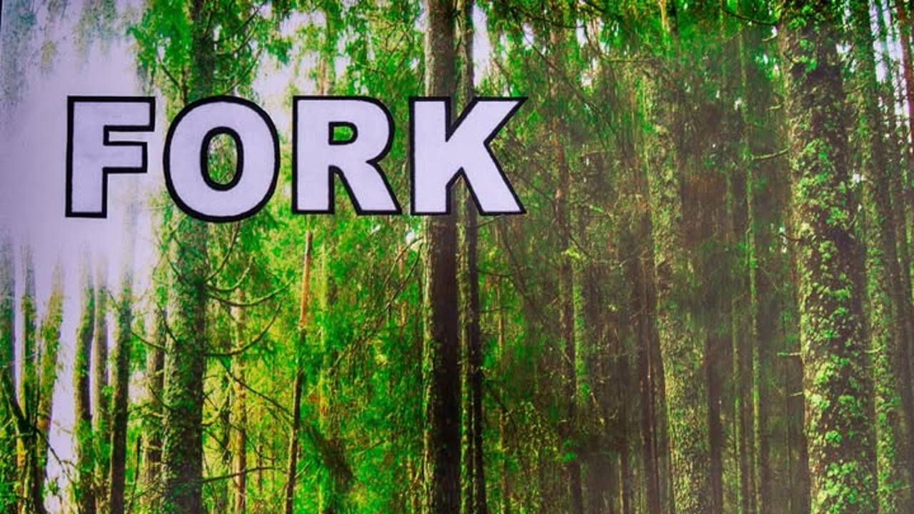 Fork
