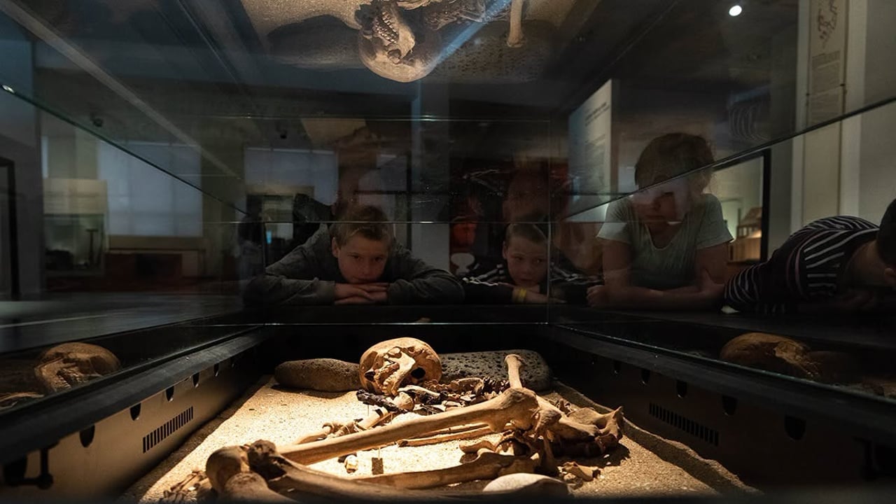 Barnaviðburður: Beinagrindur, bátar og baðstofa 💀⛵⚓