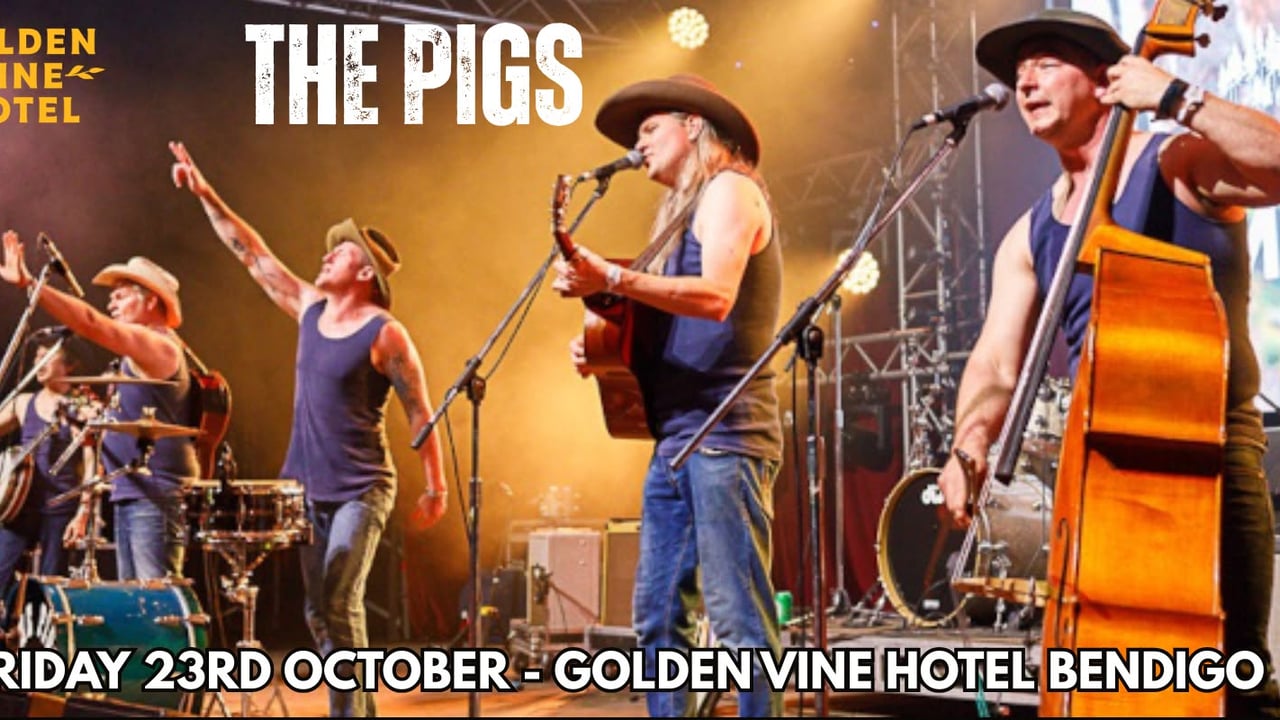 The Pigs Live at The Golden Vine Hotel Bendigo
