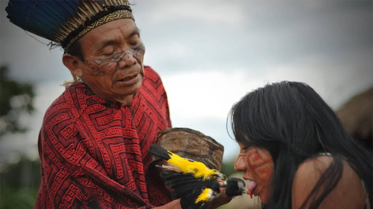 Hãpaya Baptism - Huni Kuin Voice Tradition Sacred pepper baptism for voice, memory and communication