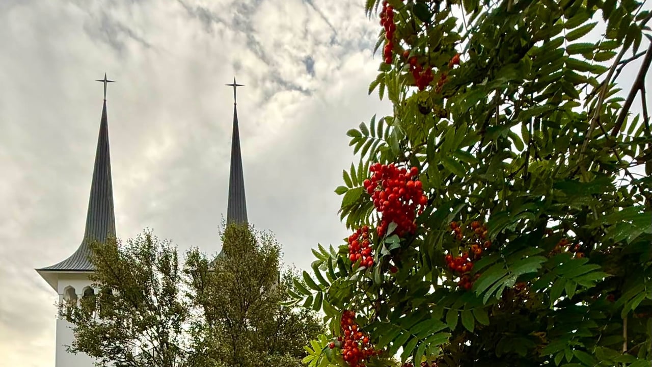 Sunnudagur 27. september – 17. sunnudagur eftir þrenningarhátíð