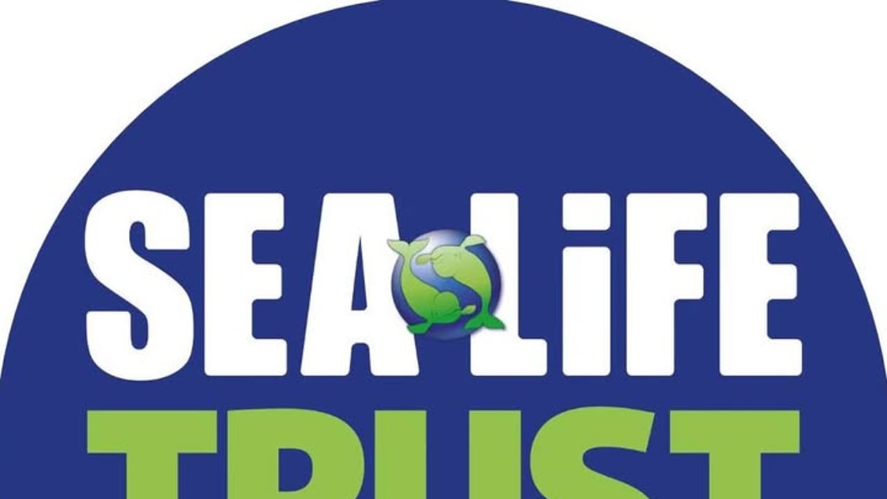 SEA LIFE TRUST Beluga Whale Sanctuary