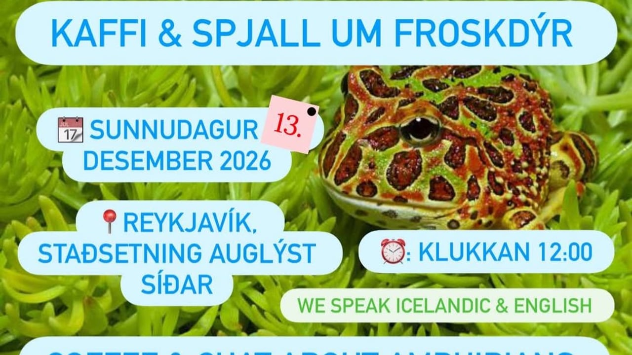 Kaffi & spjall um froskdýr 🐸