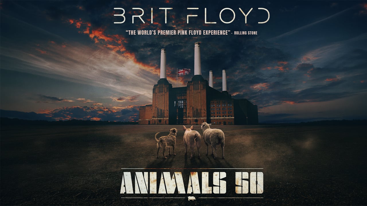 BRIT FLOYD – ANIMALS 50 - World Tour 2027