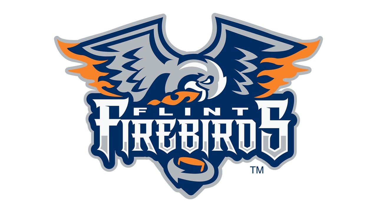 Flint Firebirds vs. Ottawa 67's