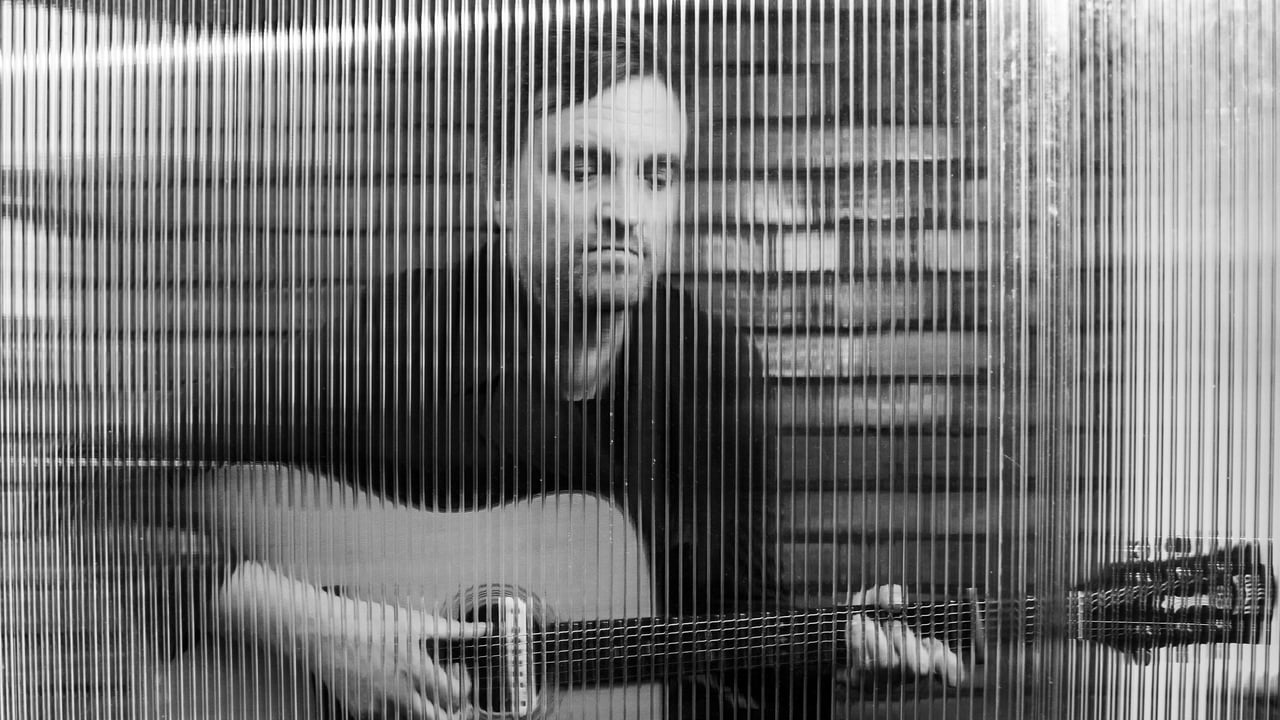 James Walsh (Starsailor)