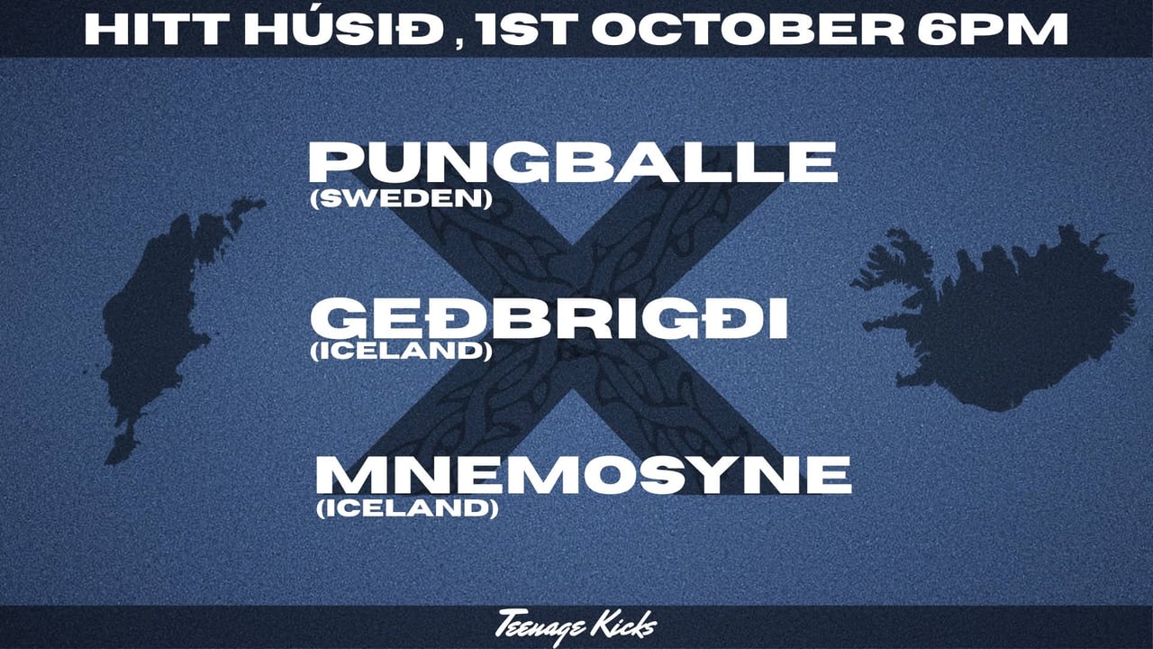 Pungballe + Geðbrigði + Mnemosyne live at Hitt Húsið