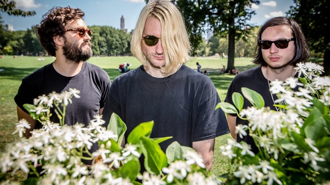 Dinosaur Pile Up