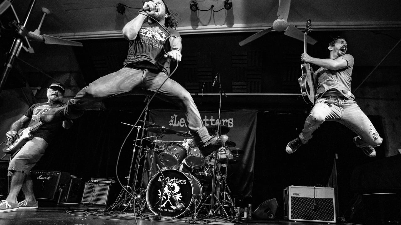The Ledbetters - A Tribute to Pearl Jam