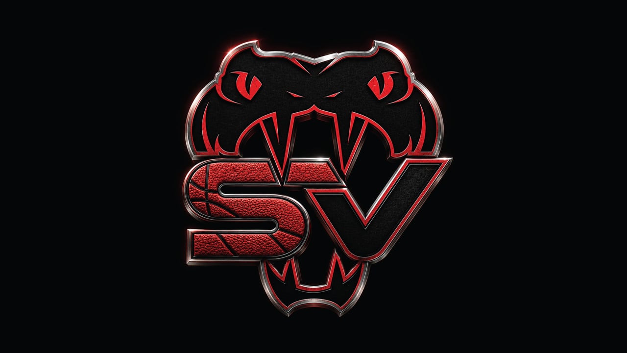 Stars Viper Cheer