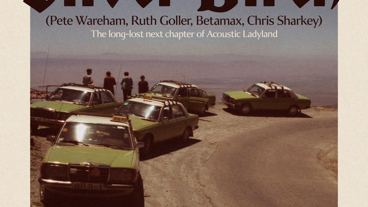 Silver Birch - The lost Acoustic Ladyland album