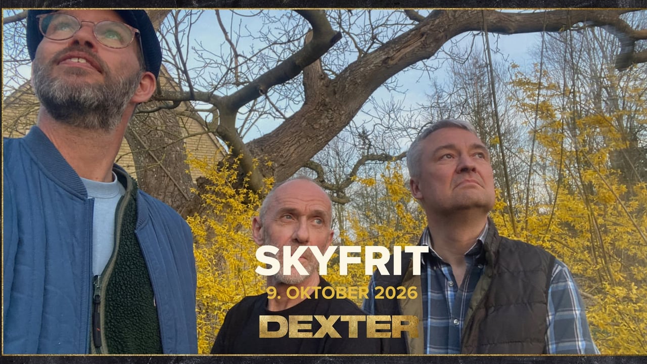 Fredagsbar Live: Skyfrit (fri entré) - Dexter, Odense