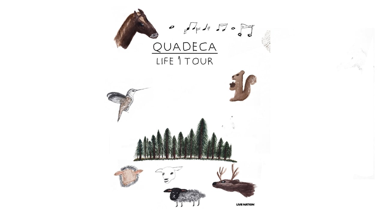 Quadeca + support