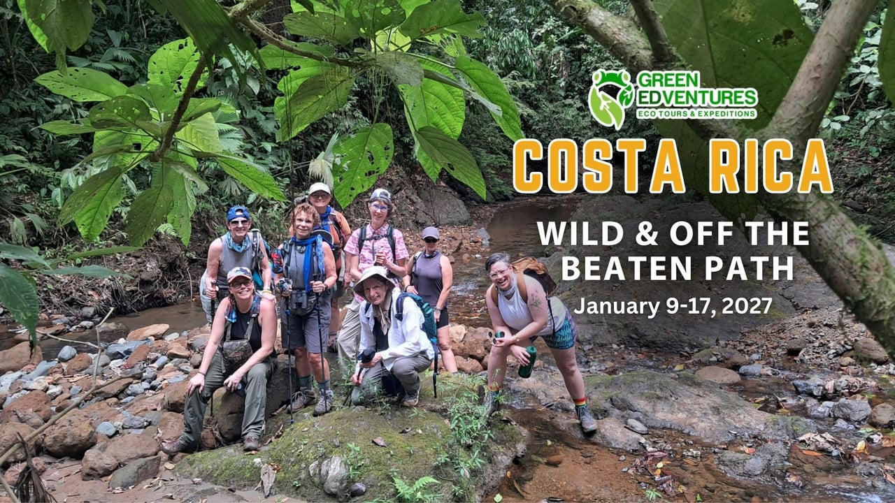 Costa Rica Women's Wild & Off-The-Beaten Path Adventure (Osa Peninsula)