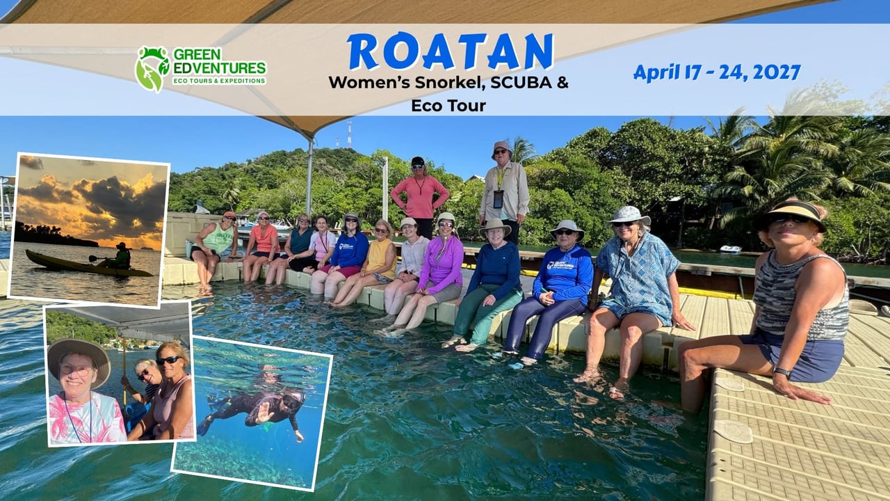 Women's Roatán Caribbean Snorkeling, SCUBA, & Eco Tour