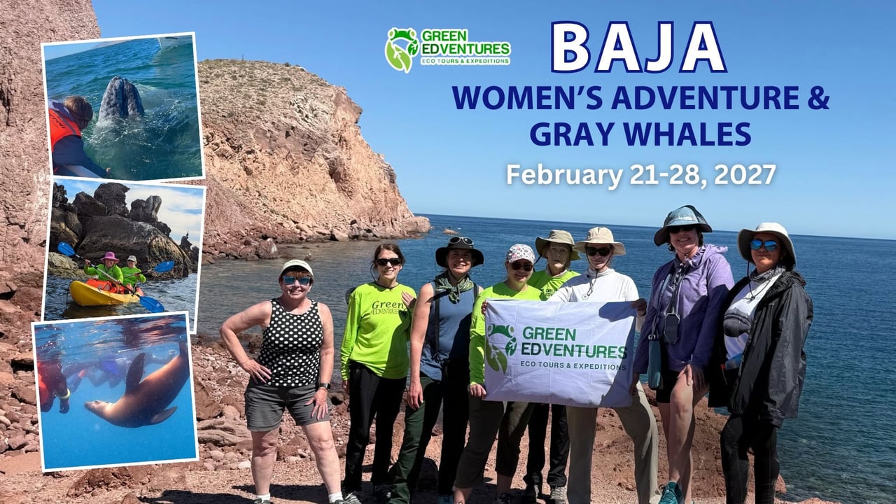Women's Baja Adventure & Gray Whales Tour (La Paz, Mexico)