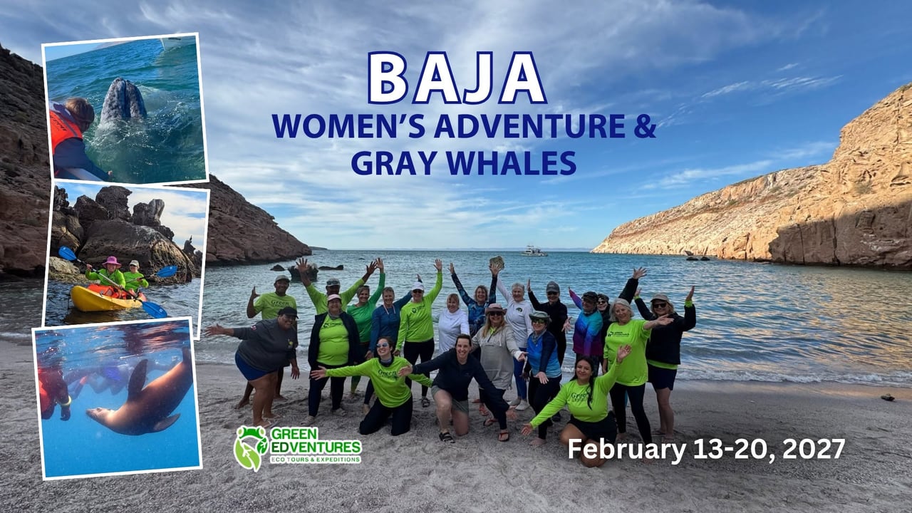 Women's Baja Adventure & Gray Whales Tour (La Paz, Mexico)