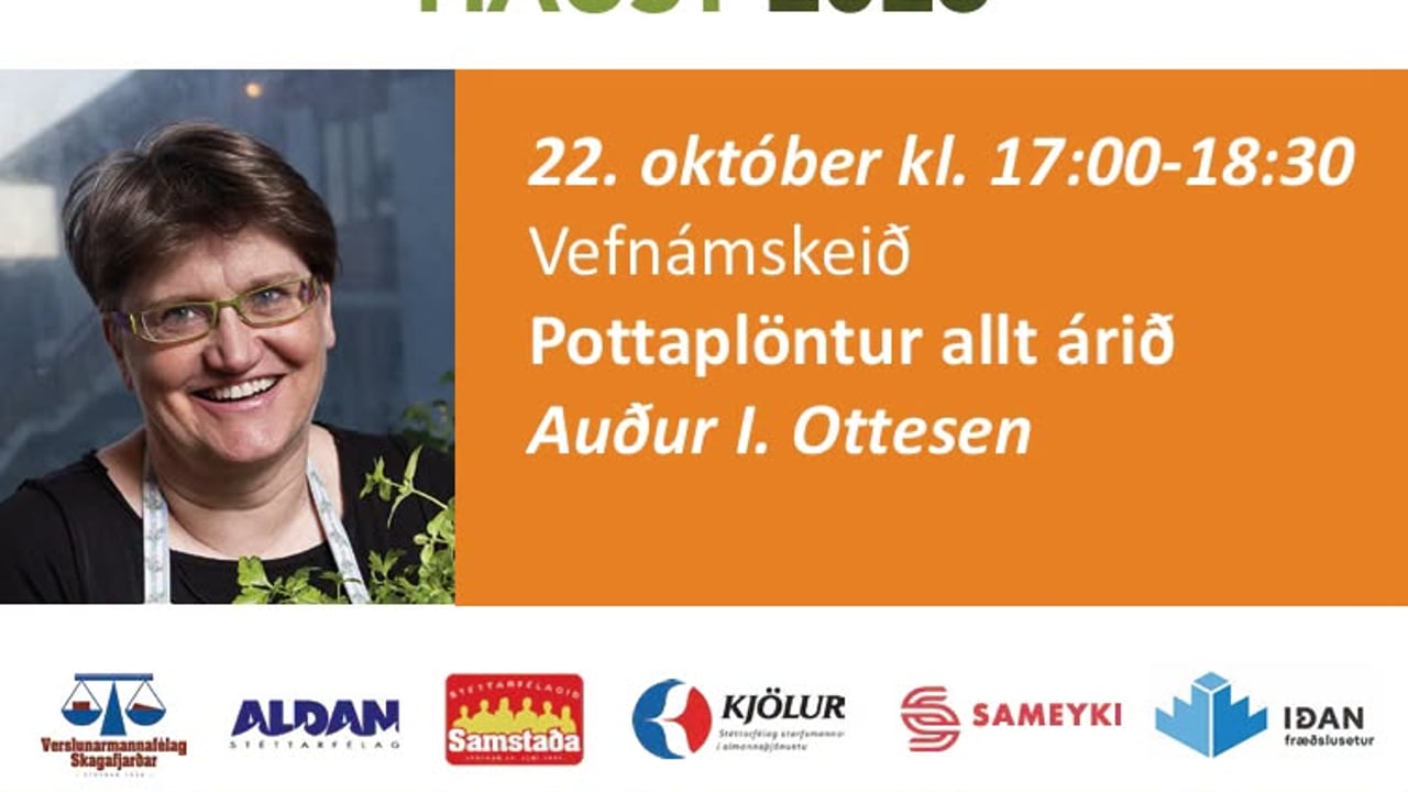 Pottaplöntur-Auður allt árið