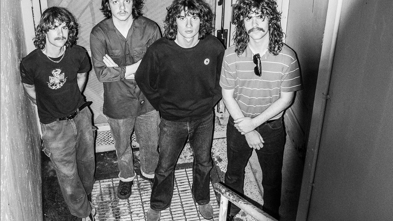 Airwaves : The Gnomes