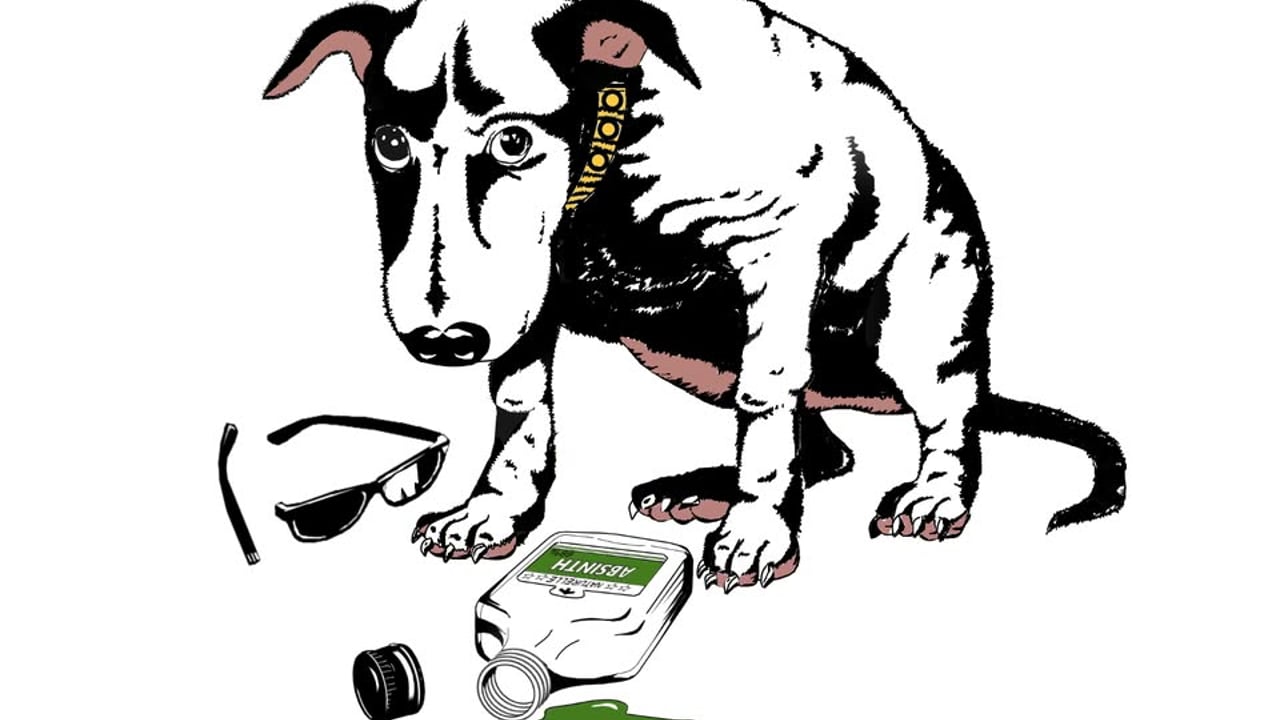 Blame The Dog