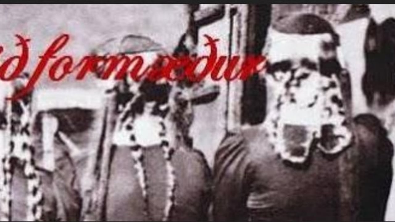 Til fundar við formæður - netnámskeið fyrir konur