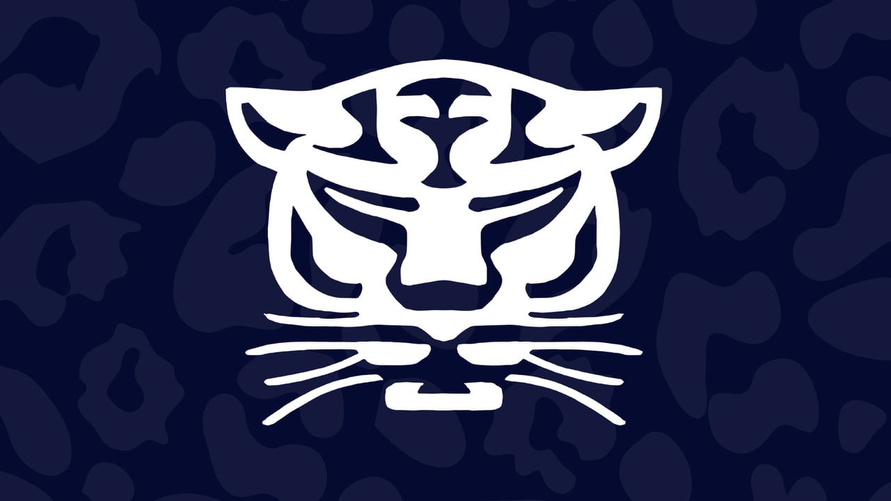 Birmingham Panthers vs London Mavericks