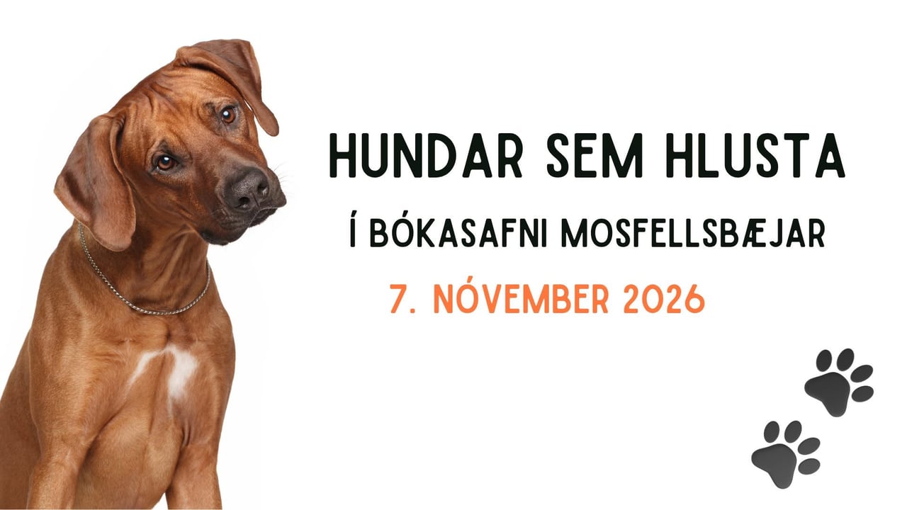 Hundar sem hlusta í bókasafni Mosfellsbæjar