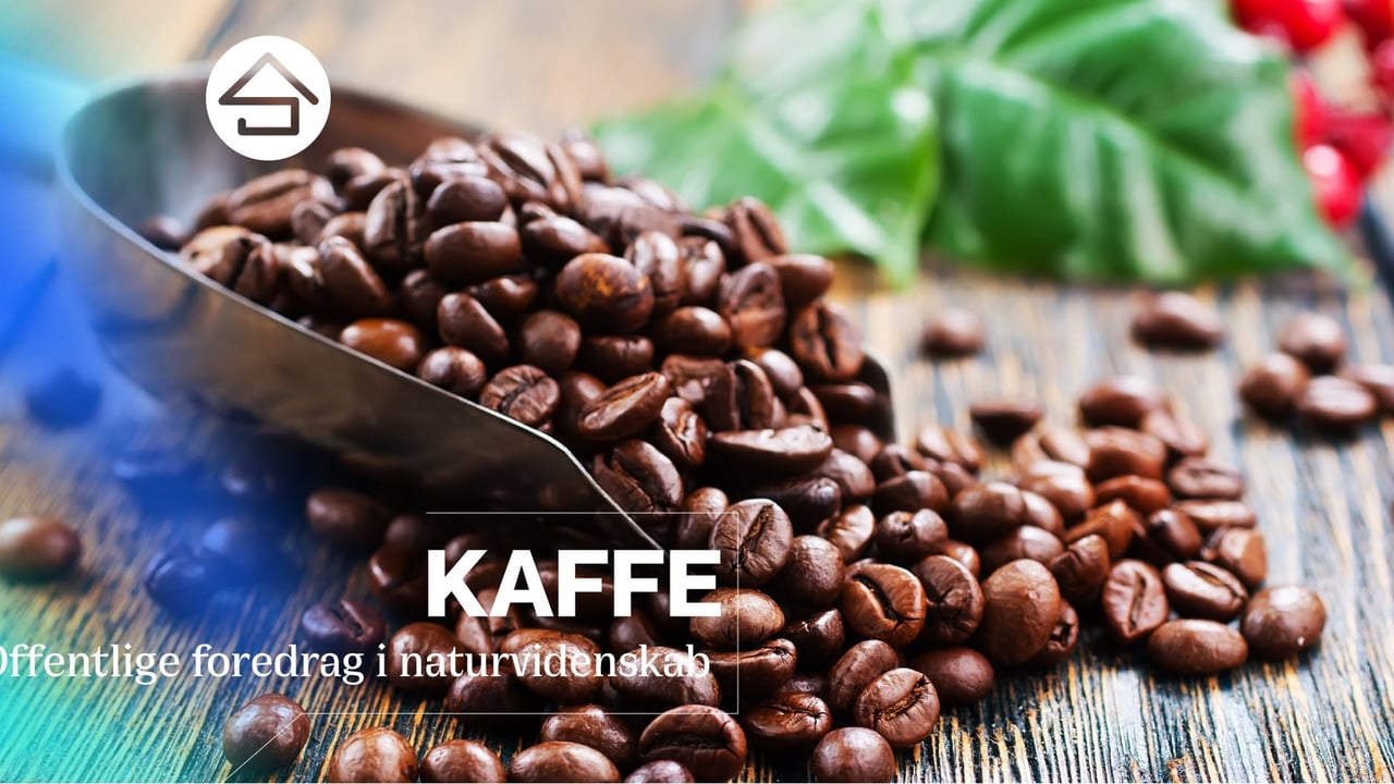 Kaffe // Studenterhus Odense