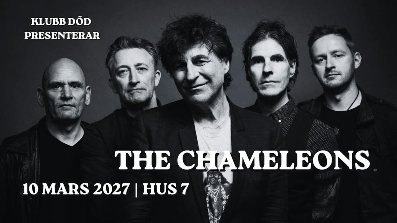 The Chameleons | Hus 7