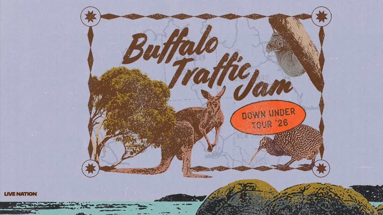 Buffalo Traffic Jam | Sydney