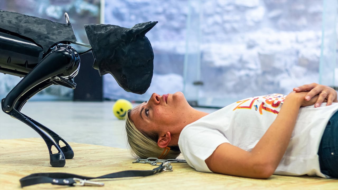 The Companion at Reykjavík Dance Festival 2026