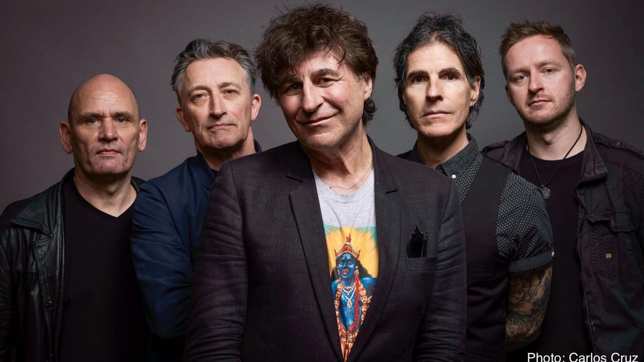 The Chameleons