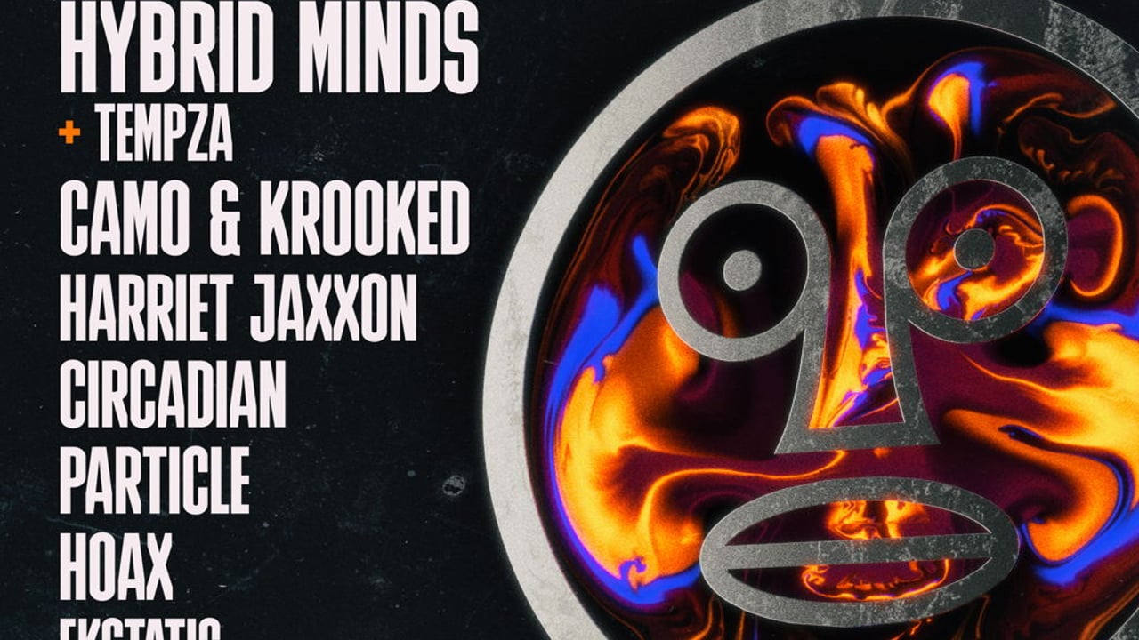Hybrid Minds