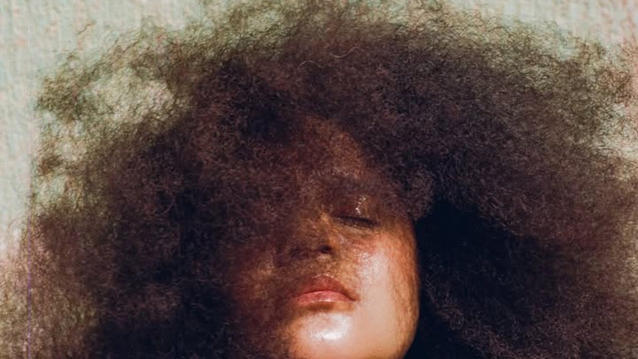 Lido Pimienta