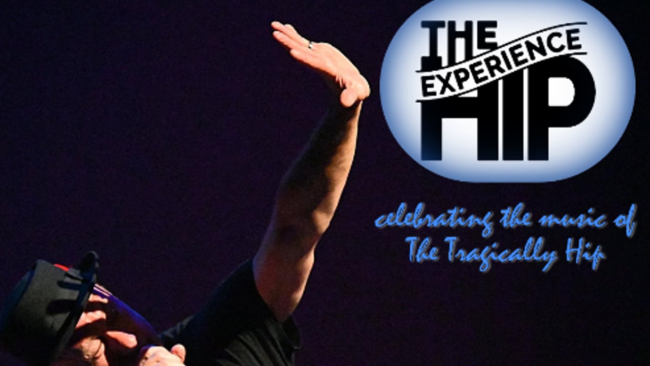The Hip Experience