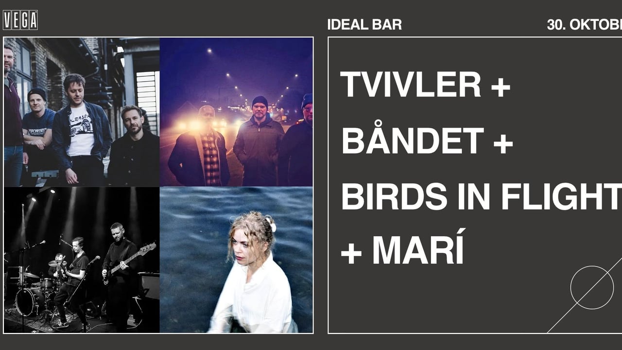 Tvivler + Båndet + Birds in Flight + Marí - VEGA
