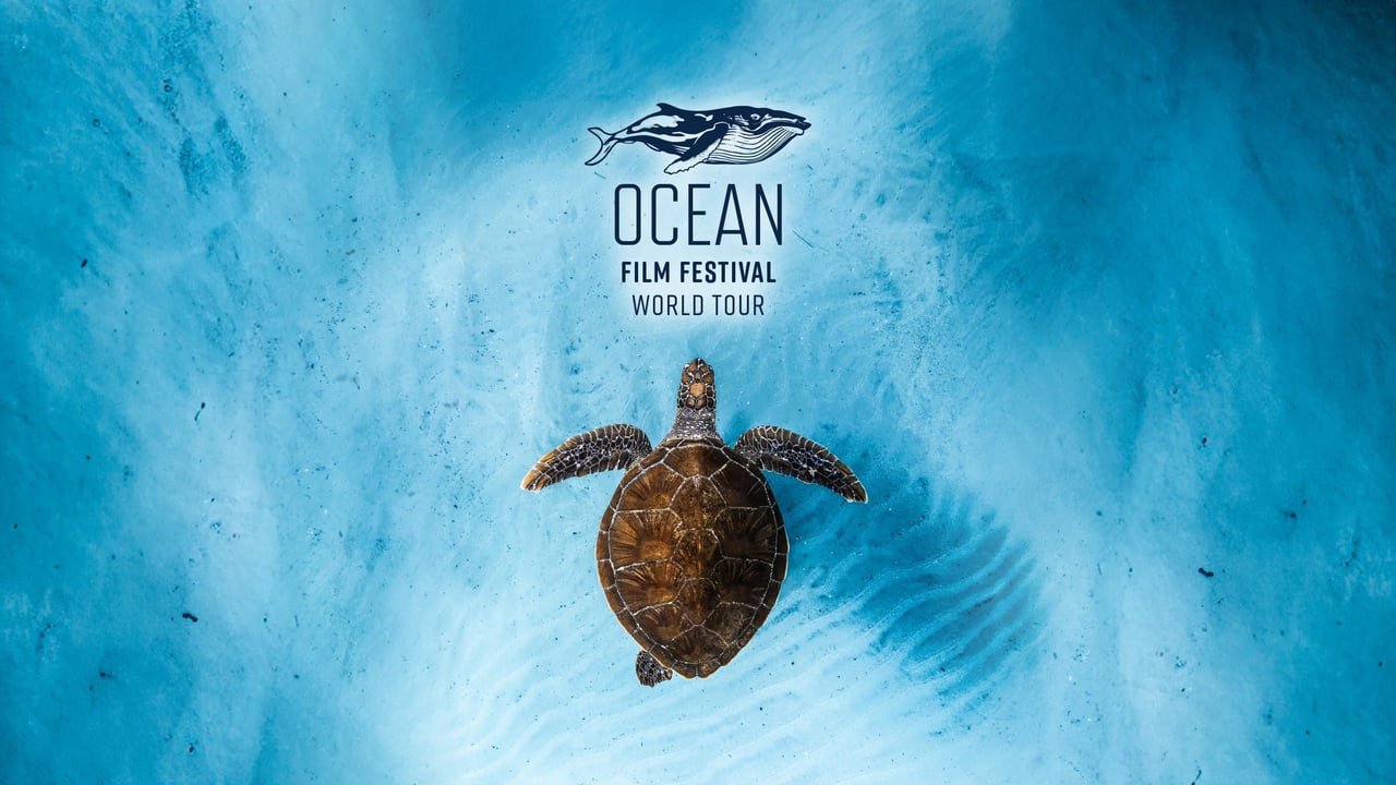 Ocean Film Festival World Tour 2027