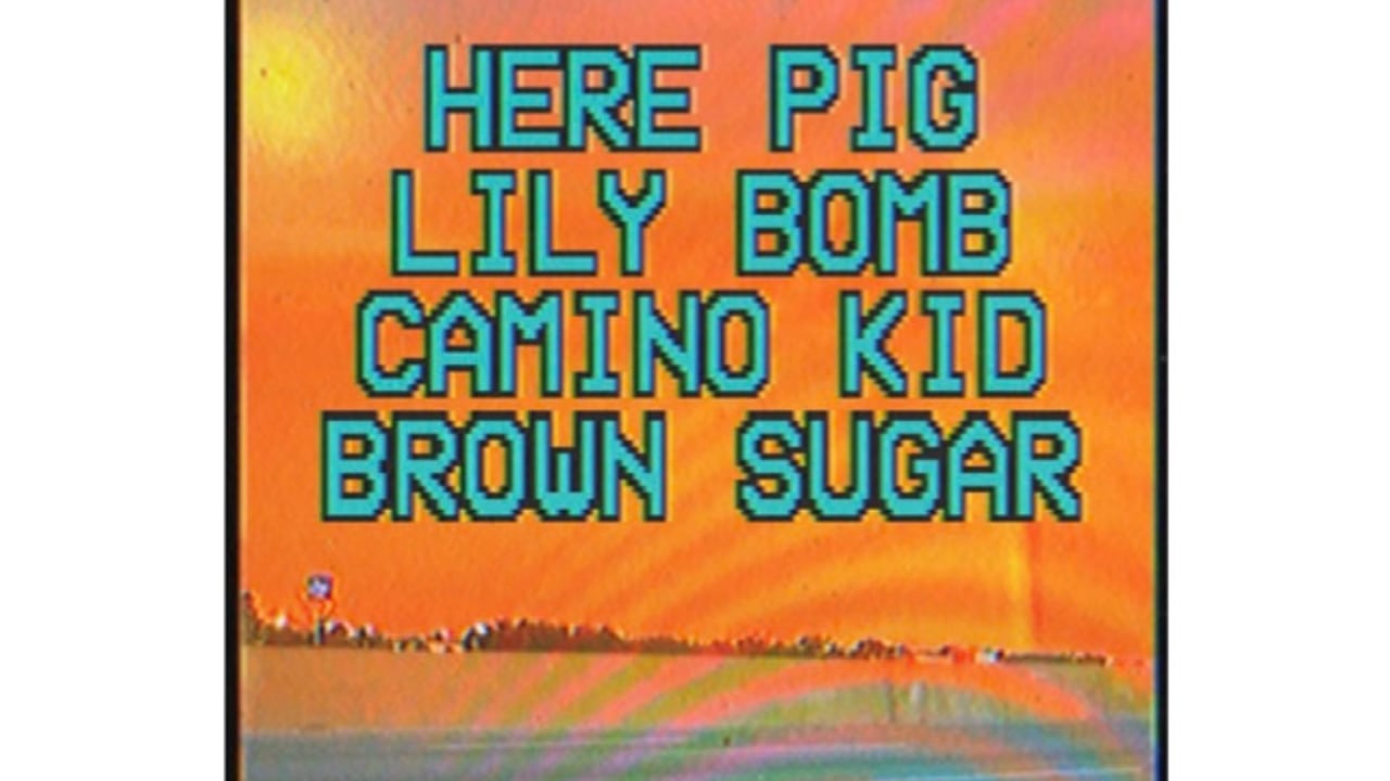 Melodramatic, Here Pig, Camino Kid, Brown Sugar