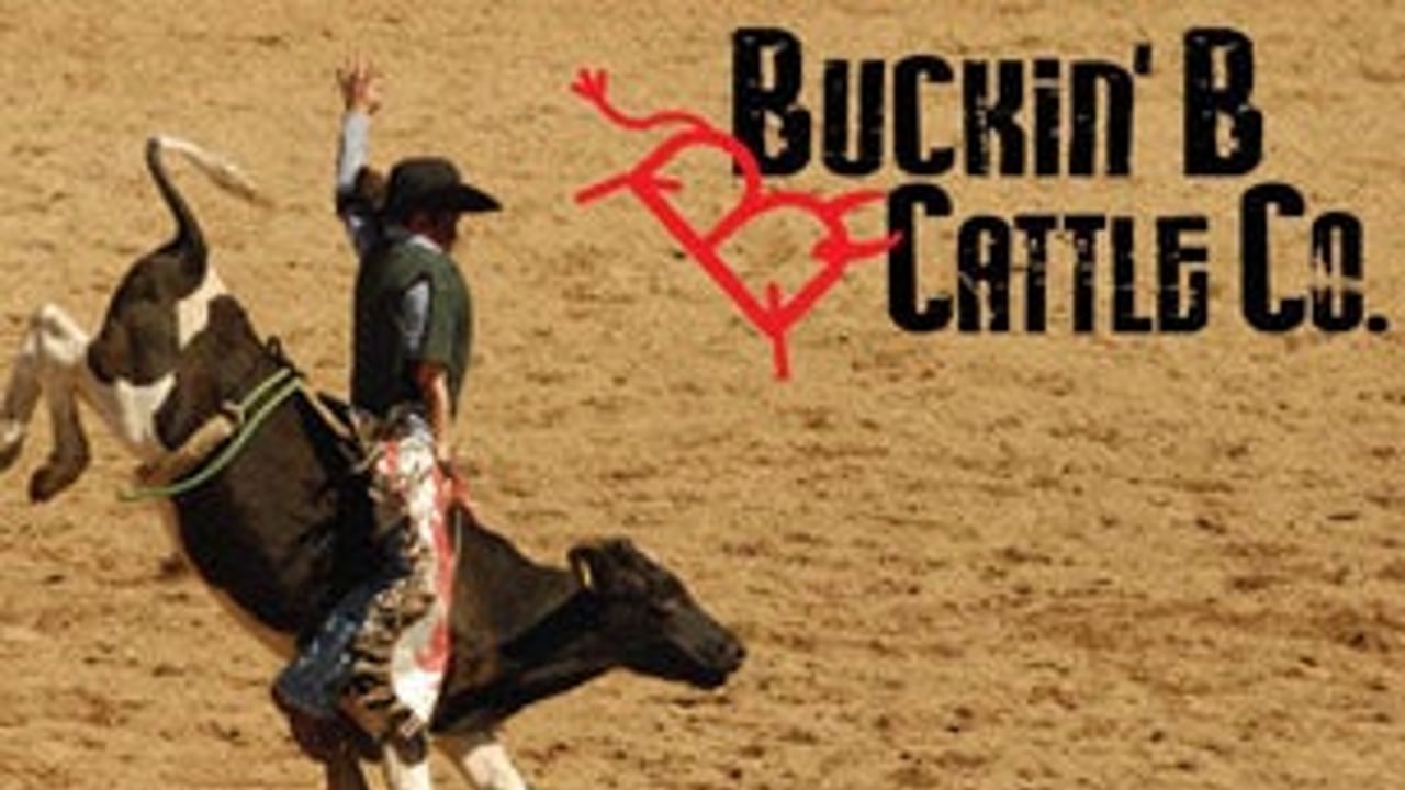 Buckin B Bullriding